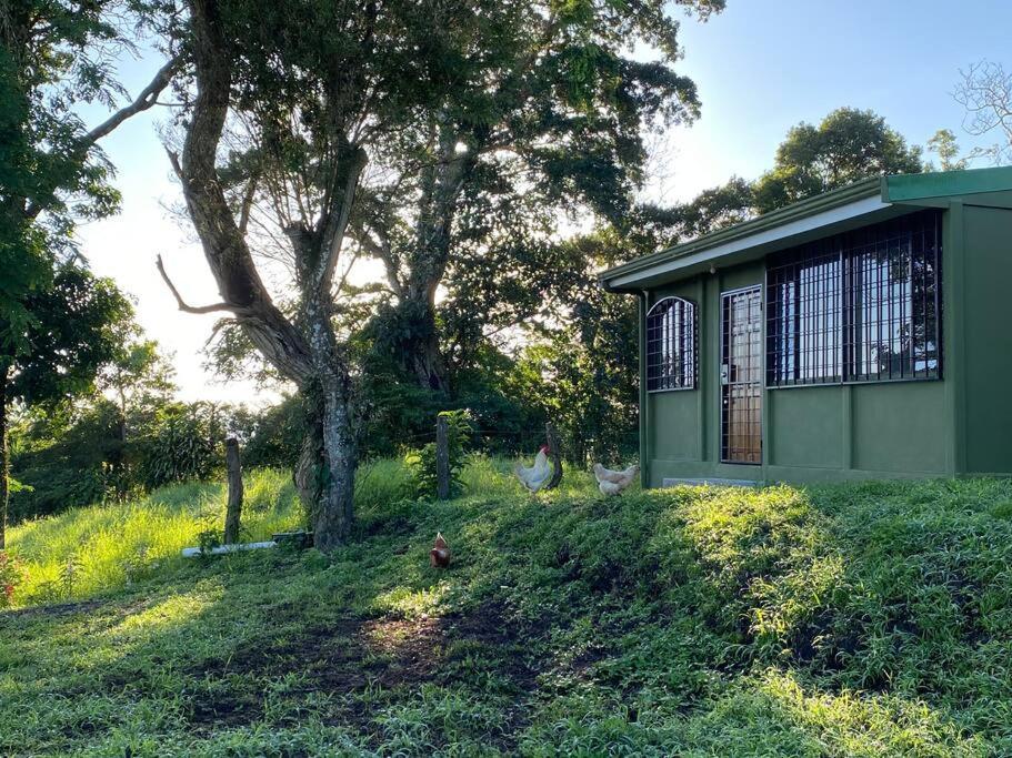 Basecamp Arenal Aparthotel Tronadora Ngoại thất bức ảnh